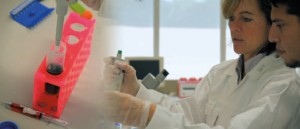 Cell course explaining practical work for blood testing in the laboratory