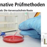 Tierversuchsfreie Alternativmethode
